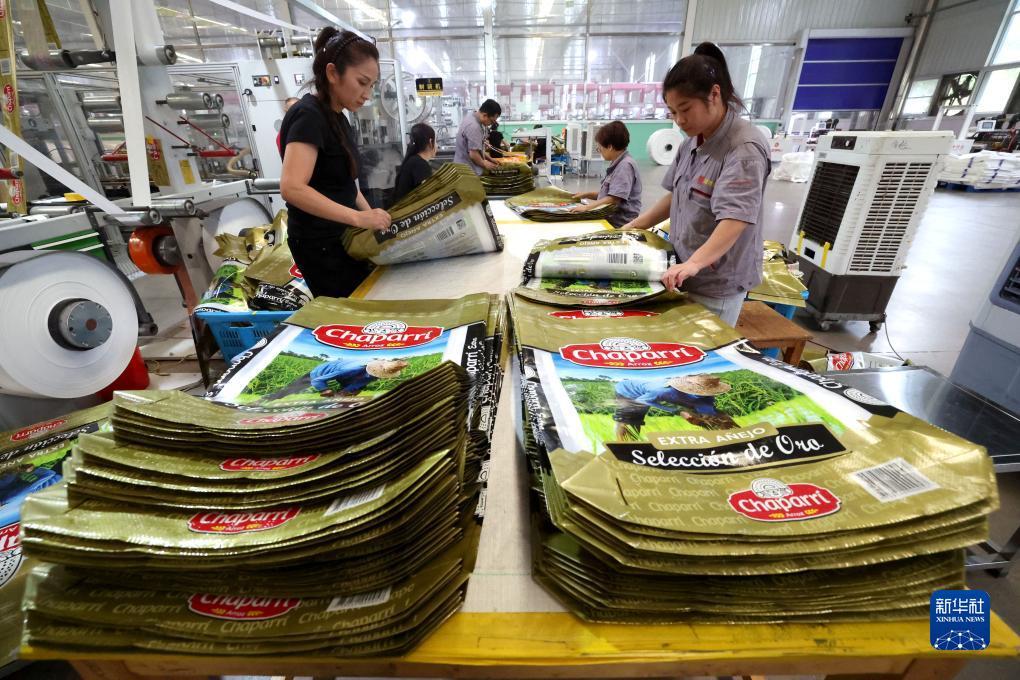 捕鱼游戏免费不用下载